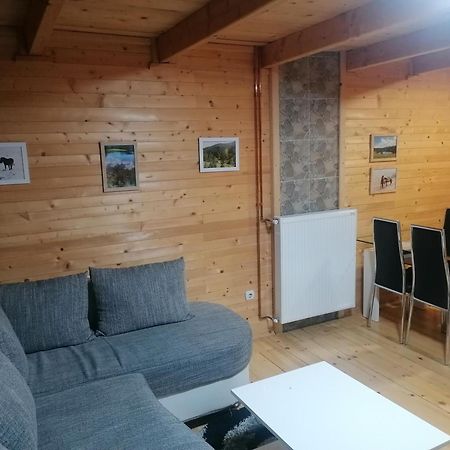 Вилла Zlatibor Brvnara Mir Экстерьер фото